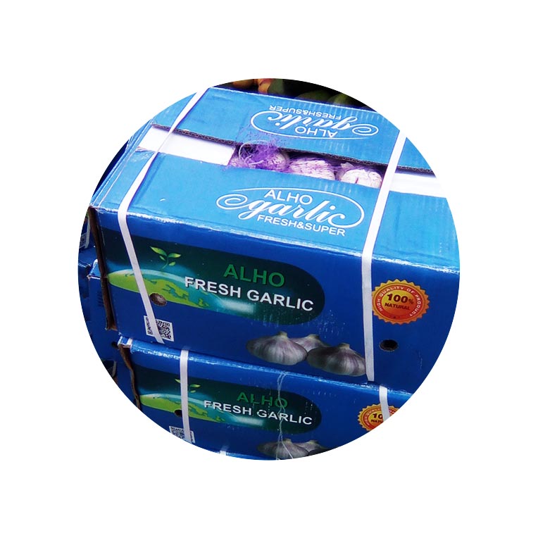 alho-caixa.jpg