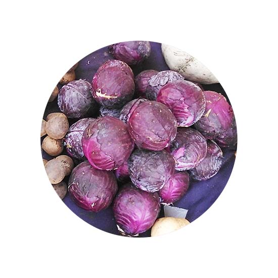 repolho-roxo.jpg